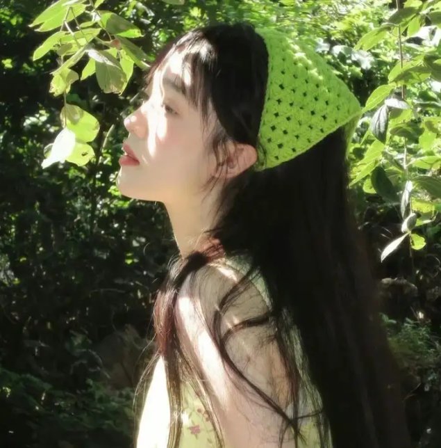大盗吉普赛